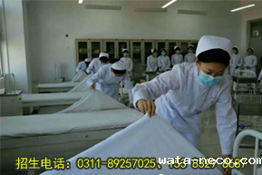 护理专业课程.png 护理专业课程.png