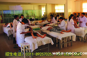中医康复保健专业实践课.png