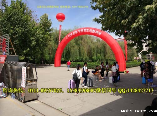 华体汇登录首页校内风景04.jpg