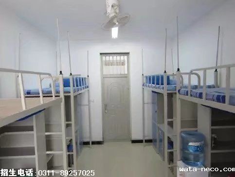 psb (13).jpg