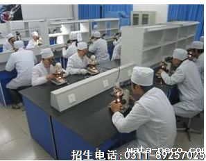 医学检验技术好不好.png
