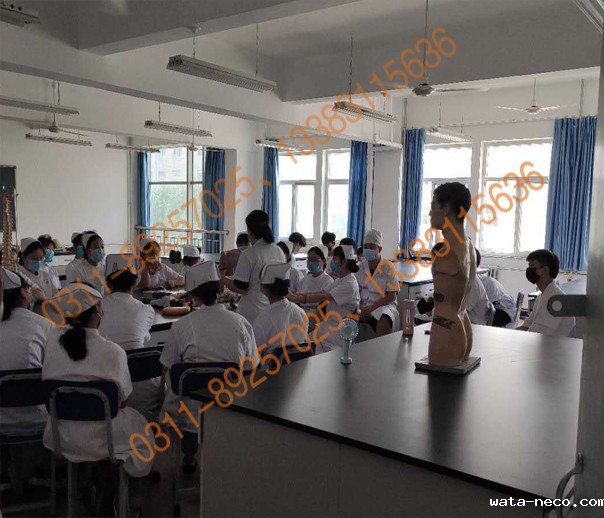 华体汇登录首页护理专业02.jpg