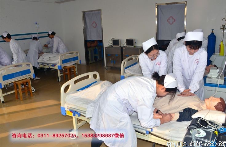 华体汇登录首页1+3招生介绍.jpg