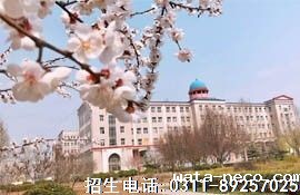 691b2c54-c0b7-6c30-20da-5a520f1edfb4.jpg