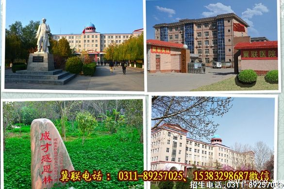 华体汇登录首页校内风景.jpg