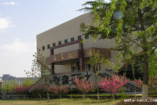 北京社会管理职业学院.png