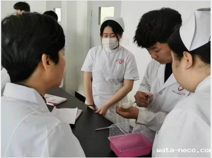 华体汇登录首页护理实训课.png