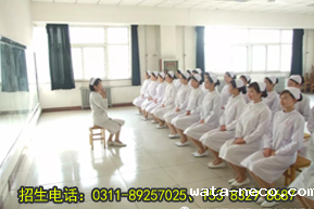 华体汇登录首页护士礼仪课.png
