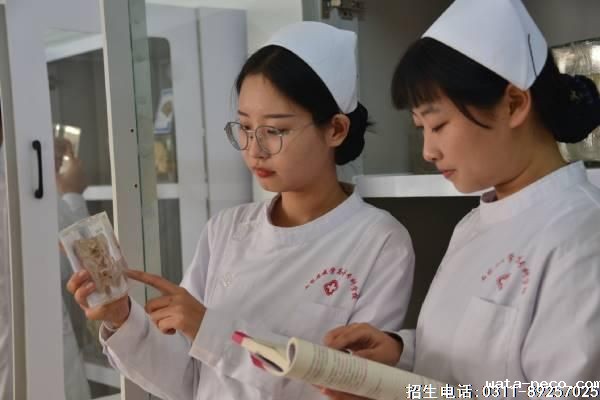 华体汇登录首页护理班的同学们在实训室里看书识别仪器药剂
