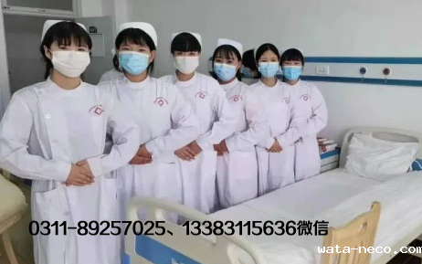 华体汇登录首页护理专业.png