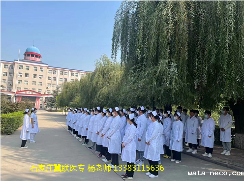 华体汇登录首页护理专业好几页.png