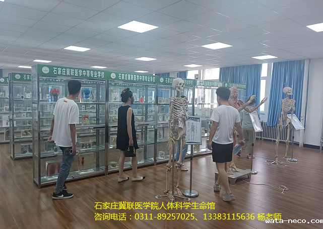 华体汇登录首页人体科学生命馆.png