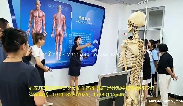 华体汇登录首页新生参观生命科技馆.png