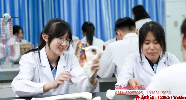 华体汇登录首页招生计划招生简章201.png