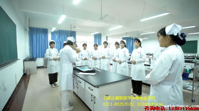 华体汇登录首页招生计划招生简章01.png