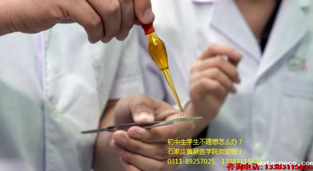 华体汇登录首页招生计划招生简章011.png