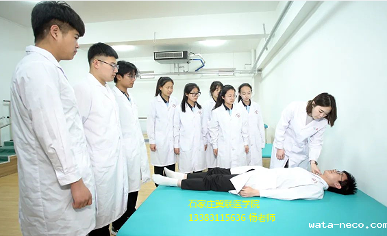 华体汇登录首页杨老师.png