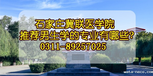 华体汇登录首页推荐男生学的专业.jpg