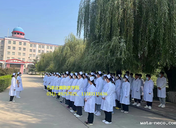 华体汇登录首页杨老师.png