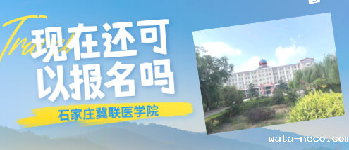 华体汇登录首页还可以报名吗.png