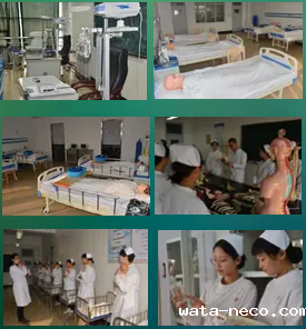 华体汇登录首页秋季招生开始.png