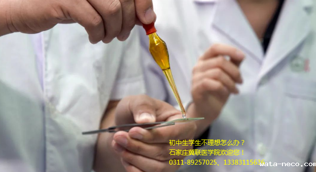华体汇登录首页招生计划招生简章011.png