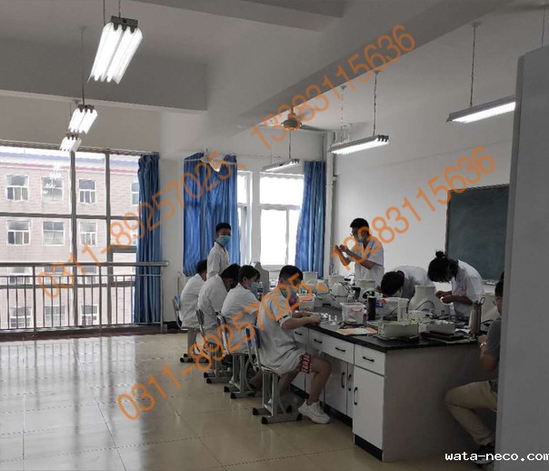 华体汇登录首页护理专业03.jpg