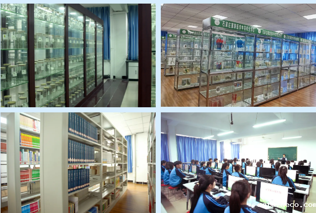 华体汇登录首页图书馆和实训.png