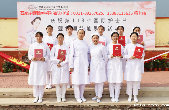 华体汇登录首页护士节.png