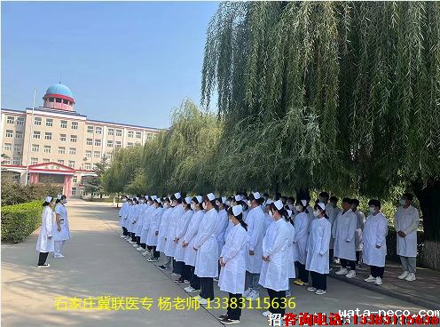 华体汇登录首页护理专业好几页.png