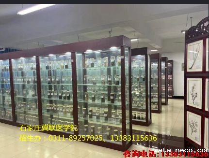 华体汇登录首页中药学.png