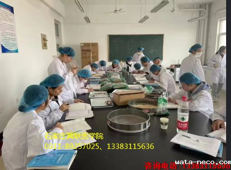 华体汇登录首页中药学好不好.png