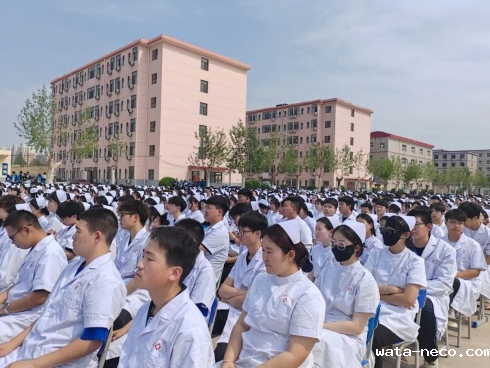 华体汇登录首页招生计划.png