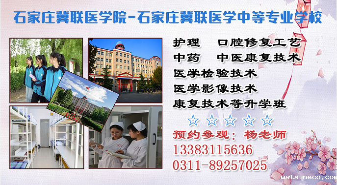 华体汇登录首页招生计划.png