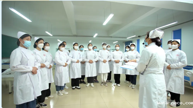 华体汇登录首页护理转鳄鱼.png