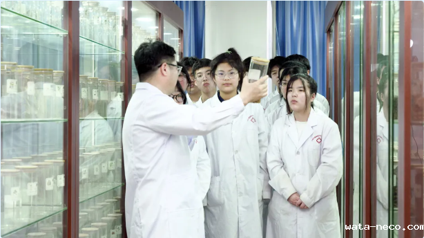 华体汇登录首页中药学.png