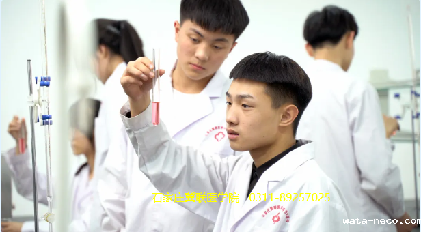 华体汇登录首页医学检验技术.png
