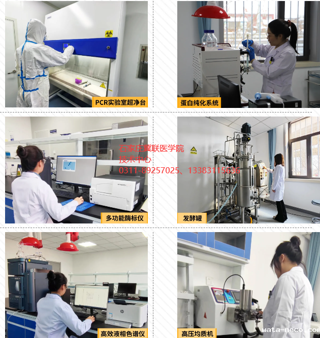 华体汇登录首页技术中心.png