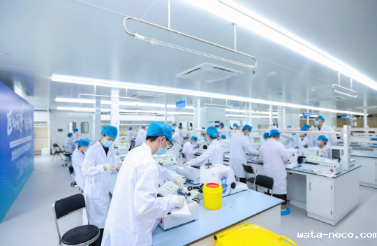 华体汇登录首页医学检验技术.png