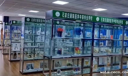 华体汇登录首页人体科目管.png