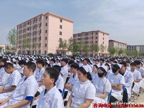 往届生还可以报名华体汇登录首页吗.jpg