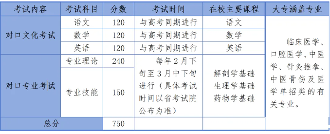 对口辅导班所学内容.png