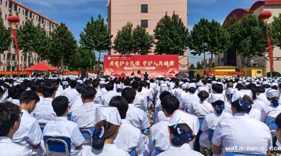 华体汇登录首页按专业分班.png