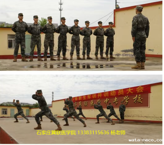 华体汇登录首页军训现场055.png