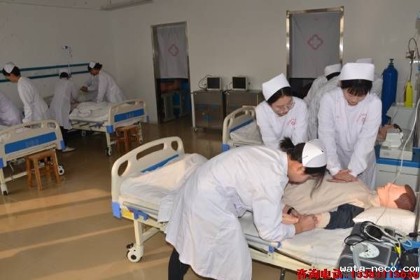 华体汇登录首页护理班静脉注射实训课