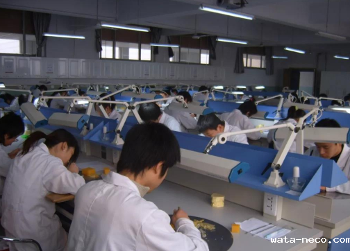 hth网页版登录入口官网学校护理专业